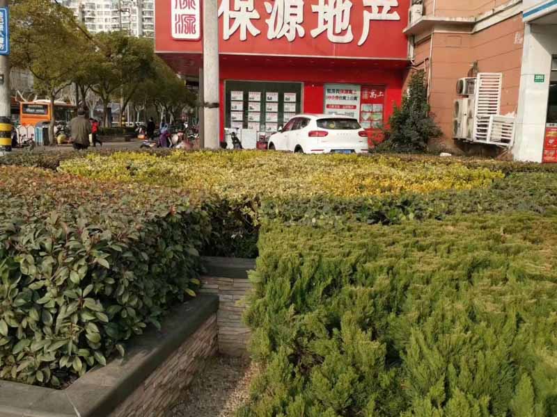 深圳醫療律師來講講醫療損害案件的審判人員能否進行醫療鑒定