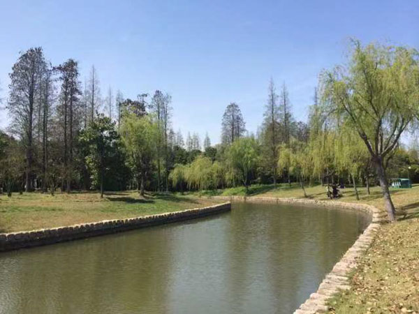 販賣(mài)走私毒品案件激增，深圳律師咨詢(xún)網(wǎng)教您如何遏制走私犯罪的發(fā)生
